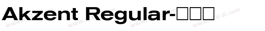 Akzent Regular字体转换